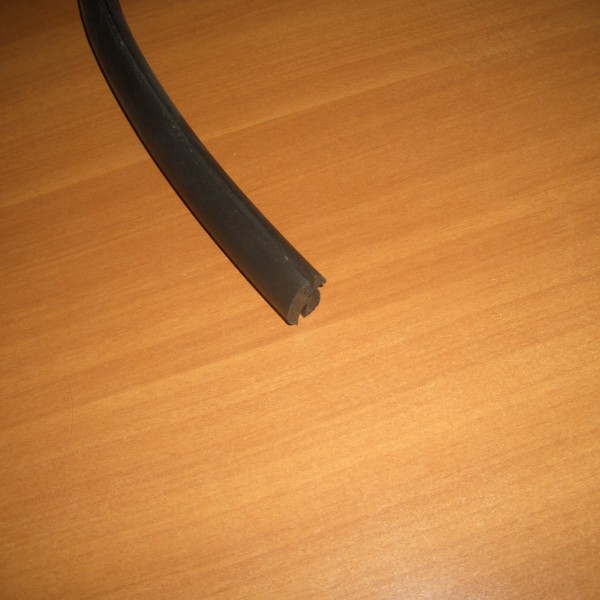 CIMG1194